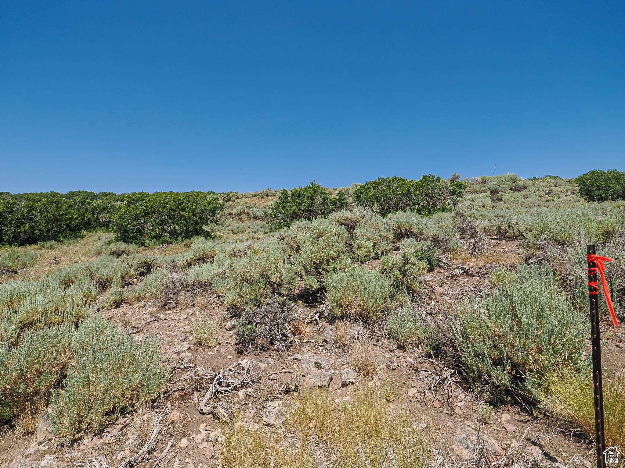 Kamas, UT 84036,3150 E RIDGEWAY DR N #RW10