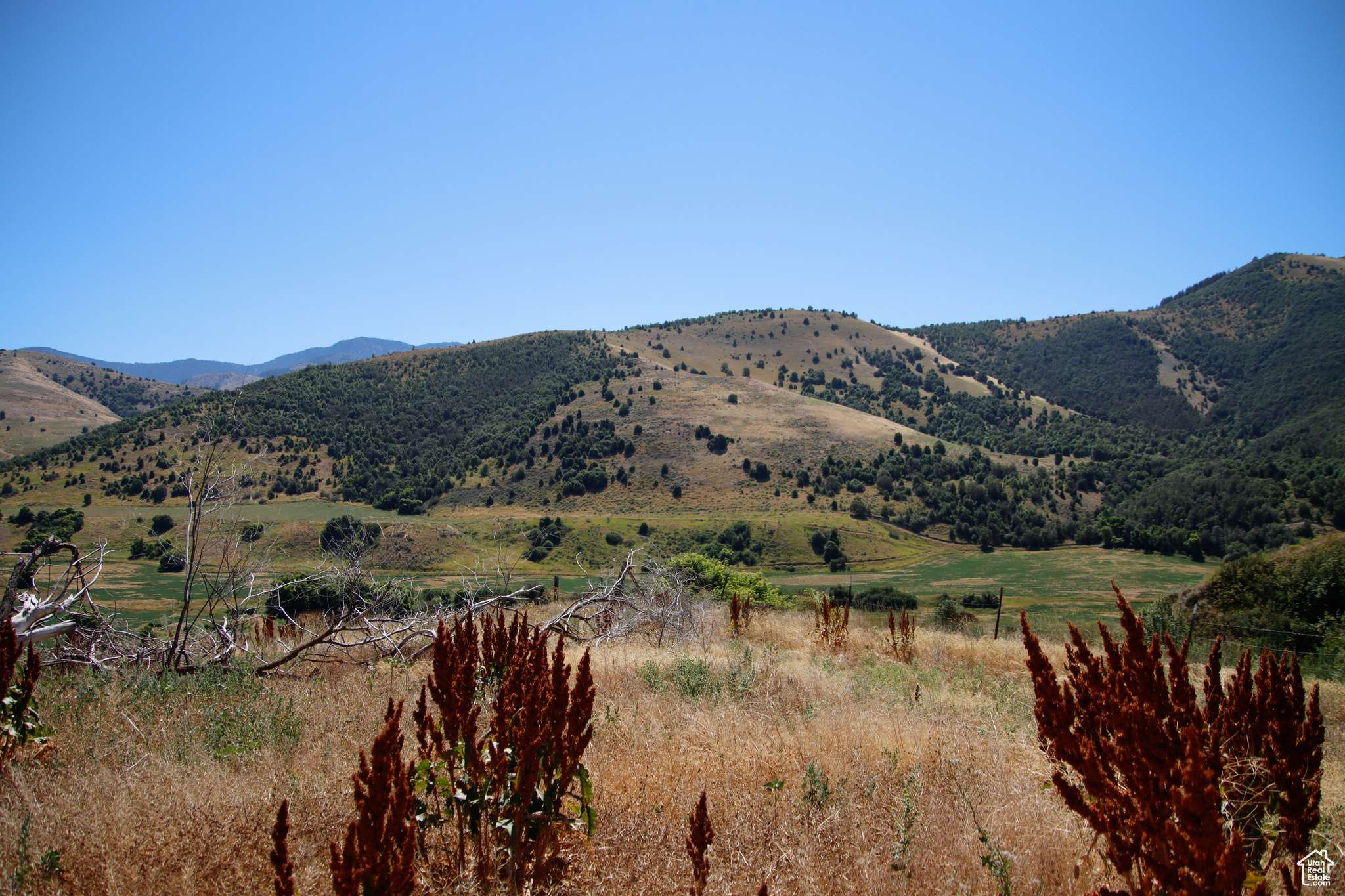 Preston, ID 83263
