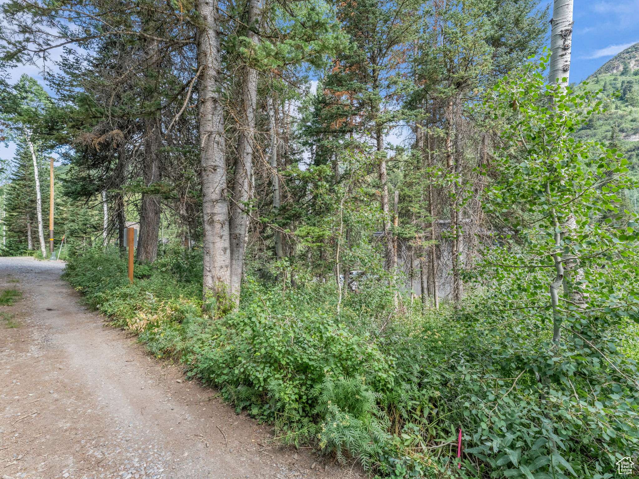 Brighton, UT 84121,9281 E FOX HAVEN LN