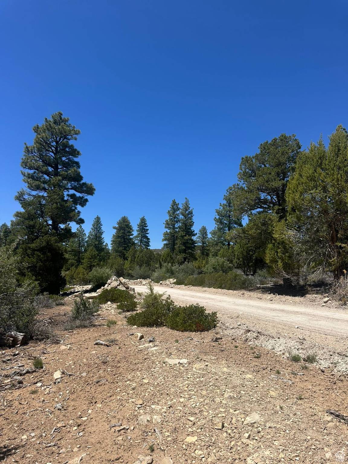 Orderville, UT 84758,11 PINE ST #11