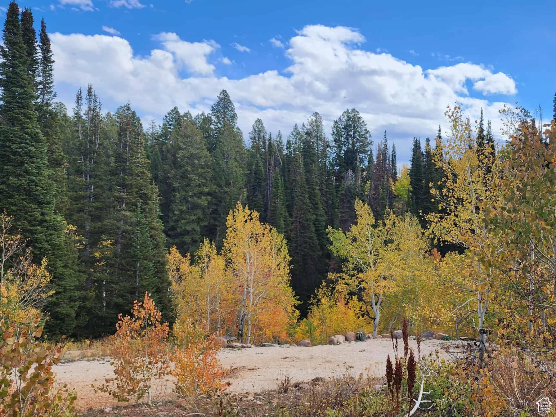 Huntsville, UT 84317,8156 JOHN FREMONT DR #H202