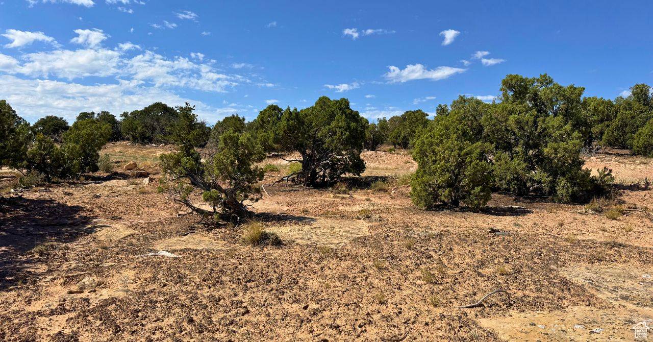 Duchesne, UT 84021,#2