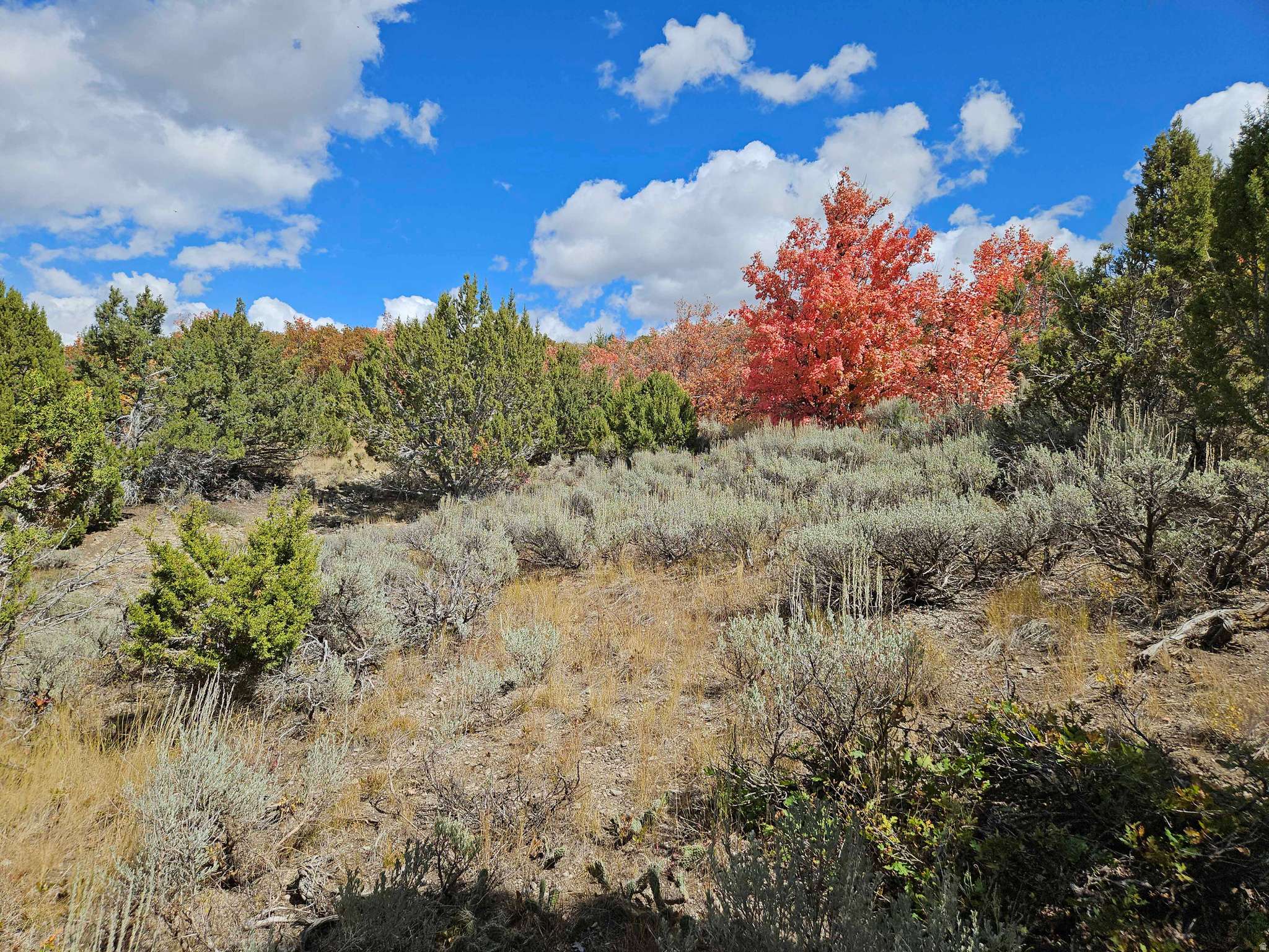 Fairview, UT 84629,30 E ELK SPRINGS DR S #30