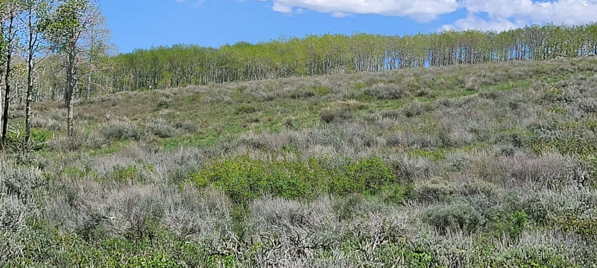 Spanish Fork, UT 84660,#D32