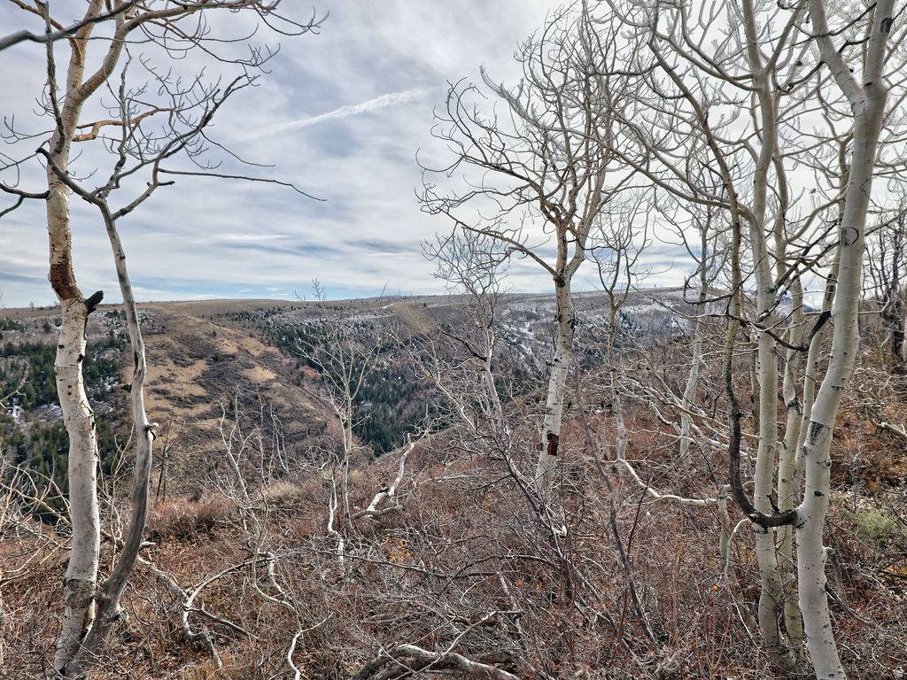 Scofield, UT 84526,1 SEE DIRECTIONS