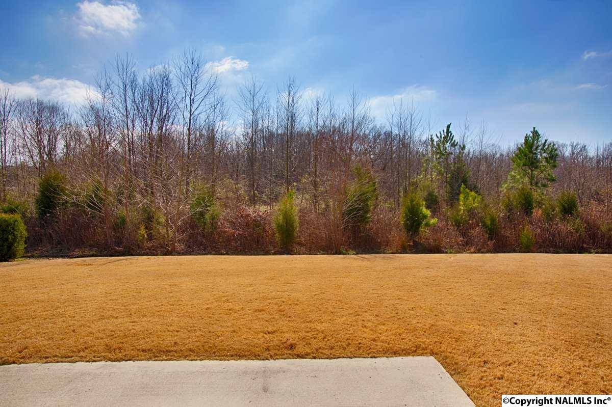 Harvest, AL 35749,102 White Apple Drive