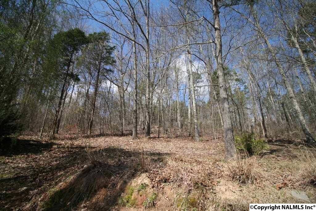 Decatur, AL 35603,189 Mesa Verde Road