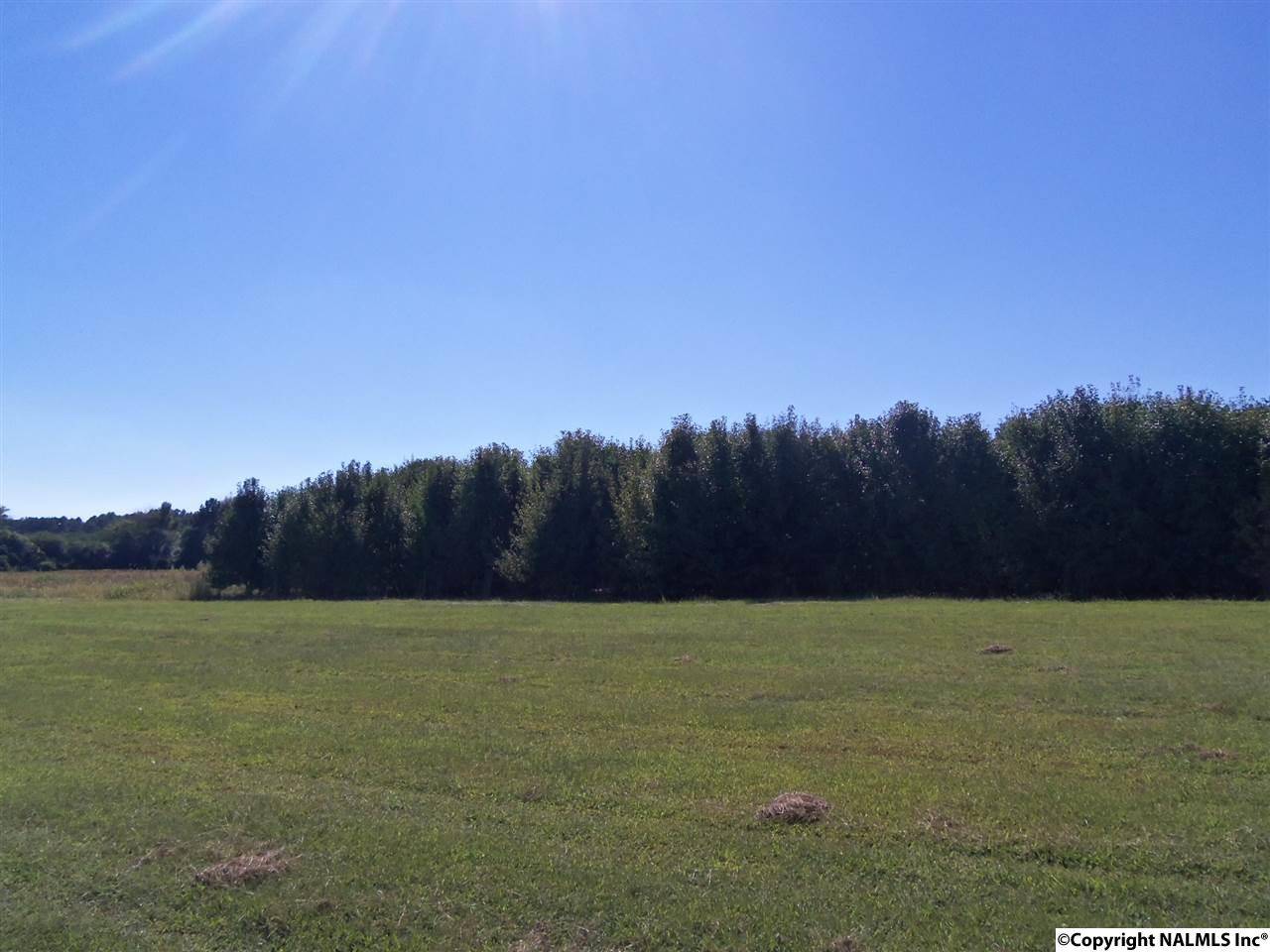 Centre, AL 35960,Lot 7 Jacksonville Street