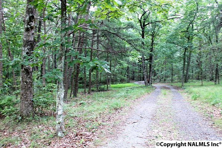 Fort Payne, AL 35967,00 County Road 166