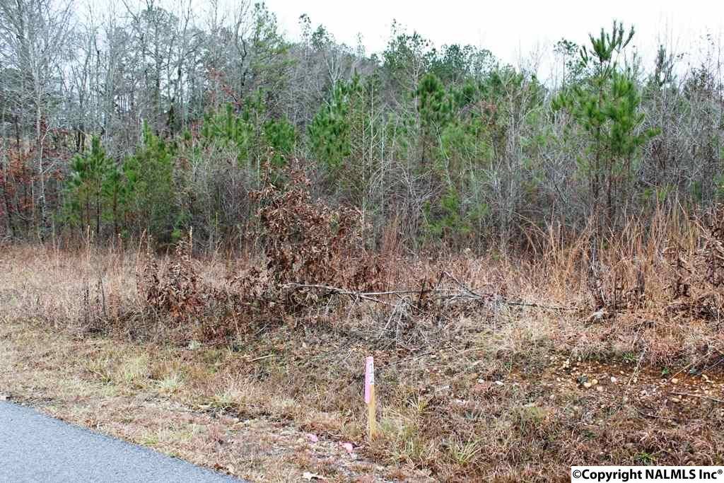 Centre, AL 35960,Lot 6 Quail Drive