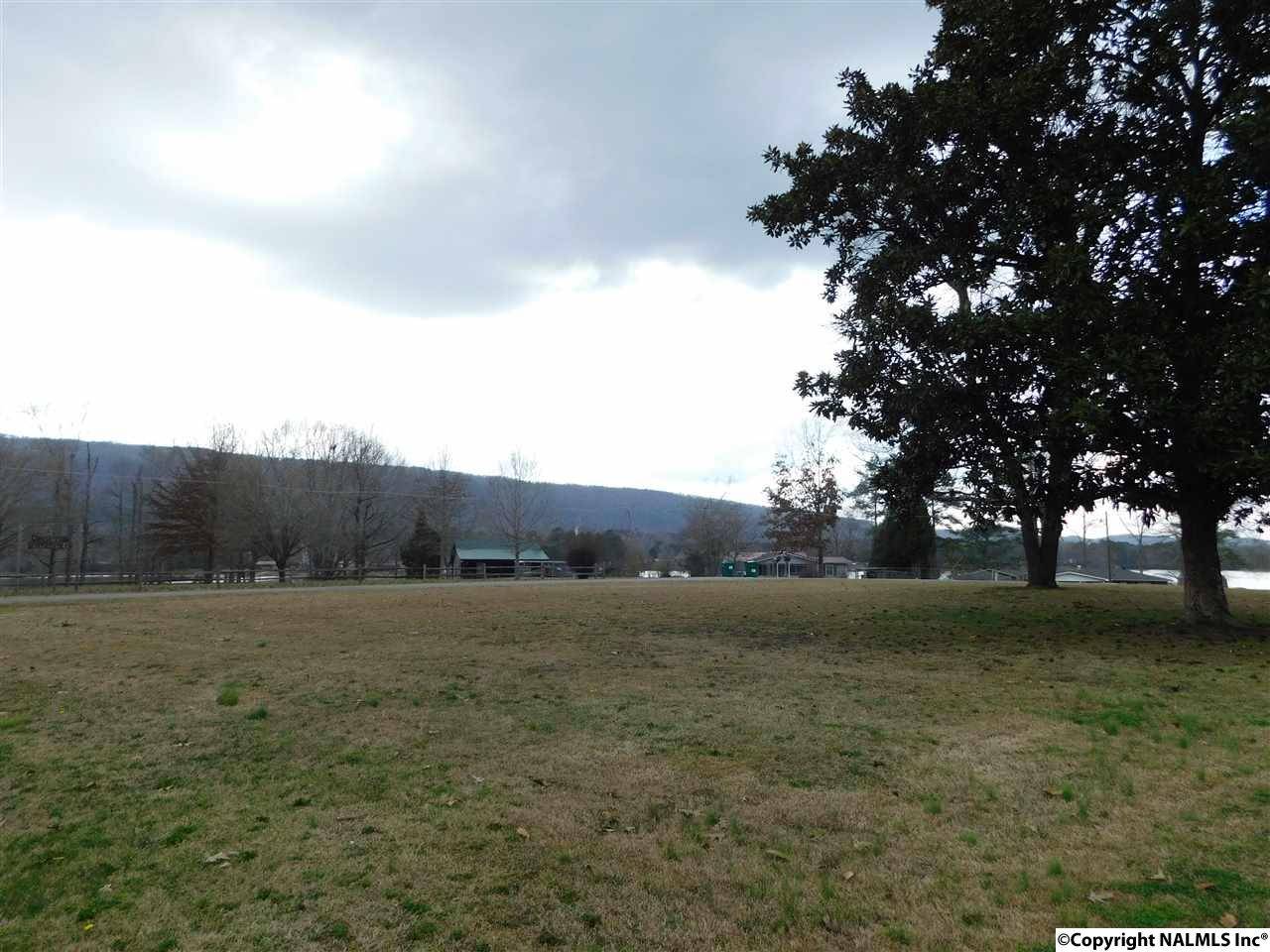 Leesburg, AL 35983,950 County Road 106