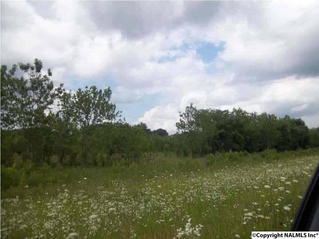 Moulton, AL 35650,County Road 229