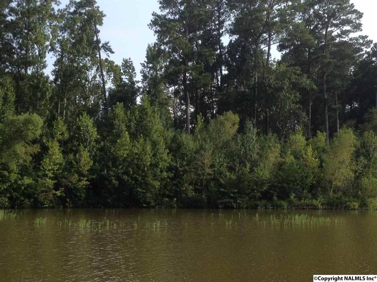 Centre, AL 35960,10 Lakeside Drive #10