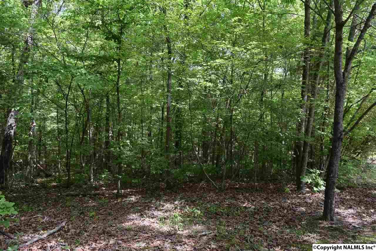 Hokes Bluff, AL 35903,16.4 ac Highway 278