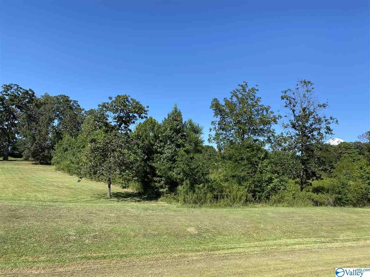 Town Creek, AL 35672,3.5 Acres Alabama Highway 157