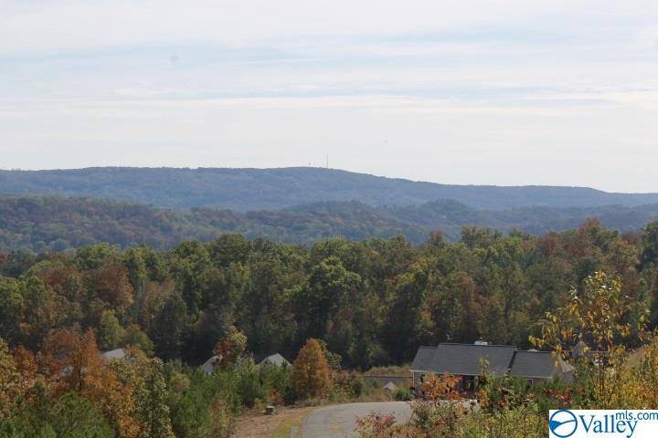 Fort Payne, AL 35967,Lot 1 Hillside Drive