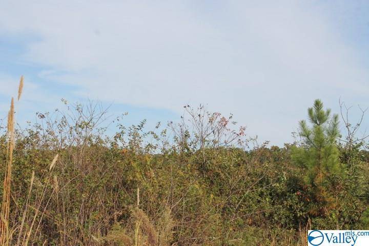 Fort Payne, AL 35967,Lot 1 Hillside Drive