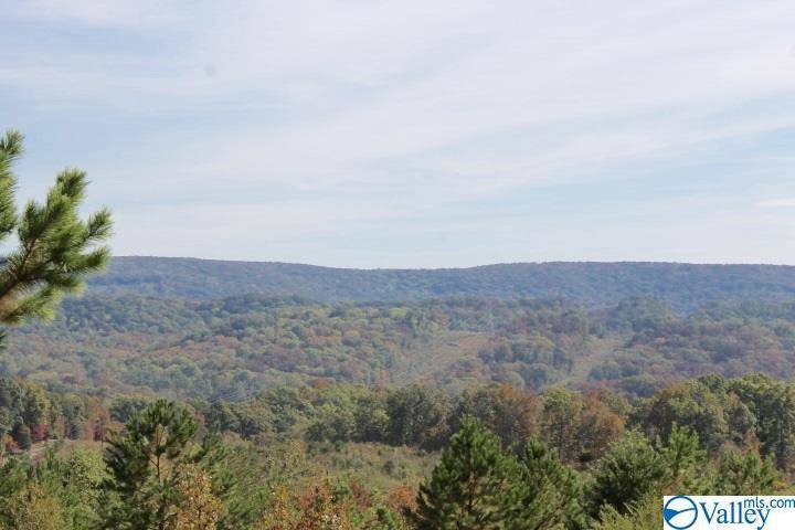 Fort Payne, AL 35967,Lot 1 Hillside Drive