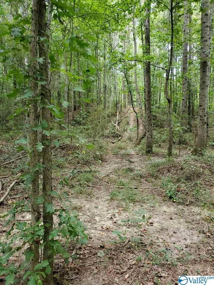 Blountsville, AL 35031,0 Garrett Road #10