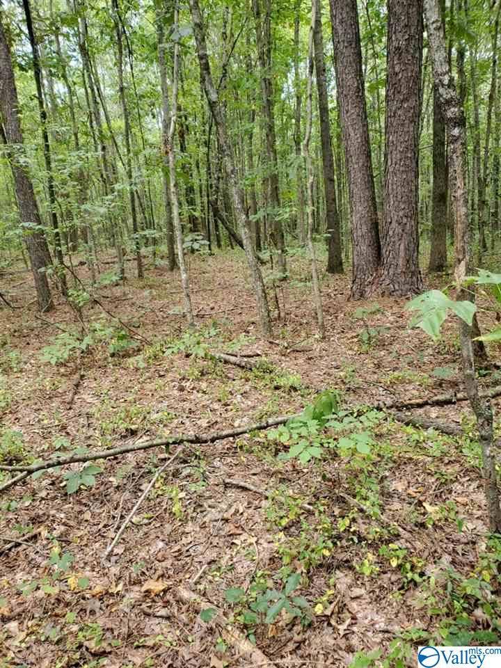 Blountsville, AL 35031,0 Garrett Road #10