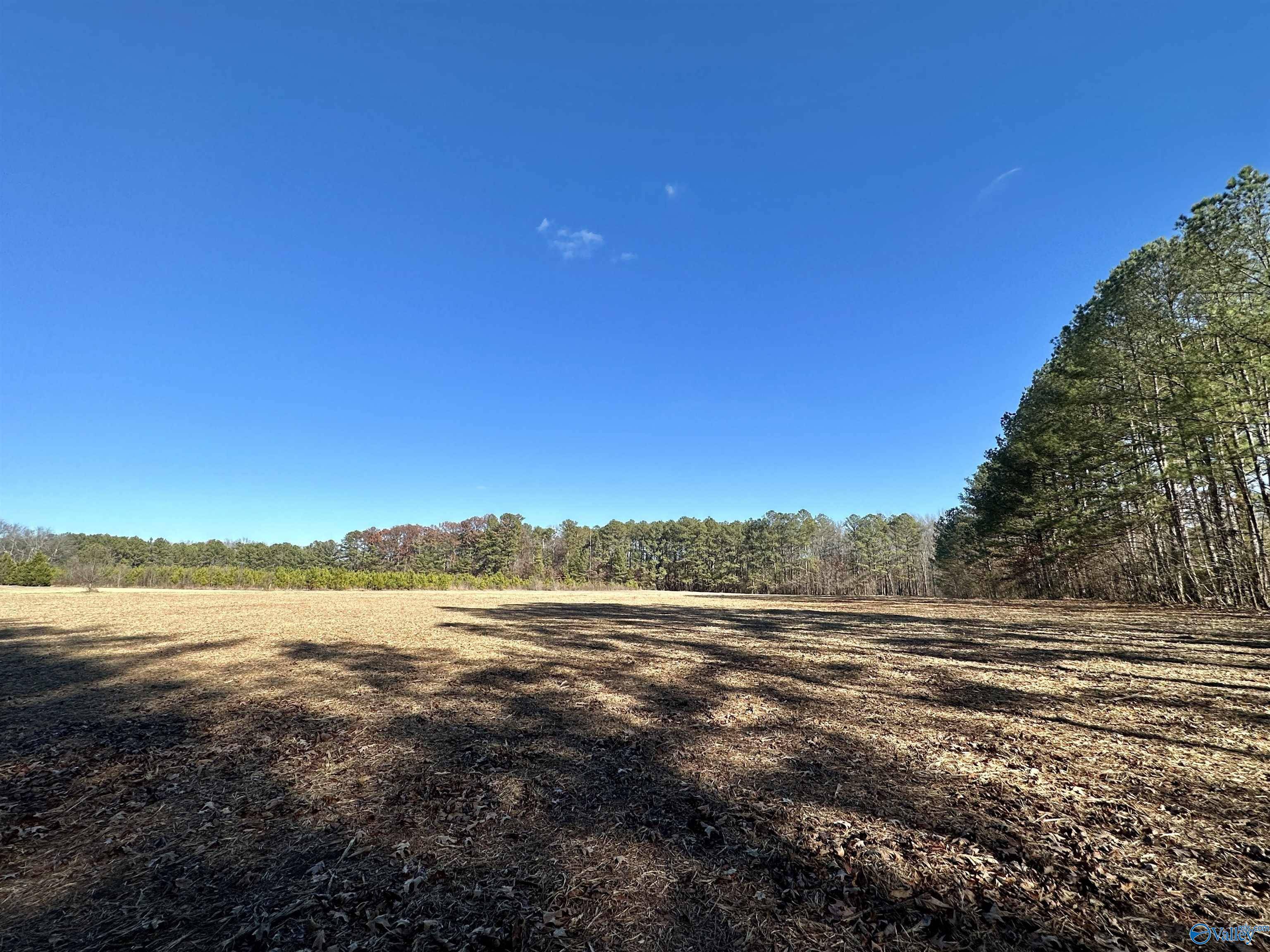 Attalla, AL 35954,8.83 Acres Wilcox Street