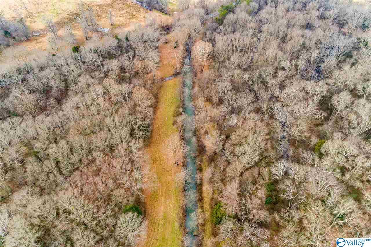 Moulton, AL 35650,19.40 Acres Beacon Street