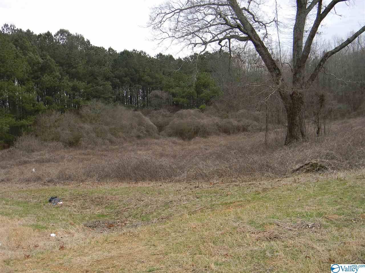 Leesburg, AL 35983,Lot # 2 US Highway 411