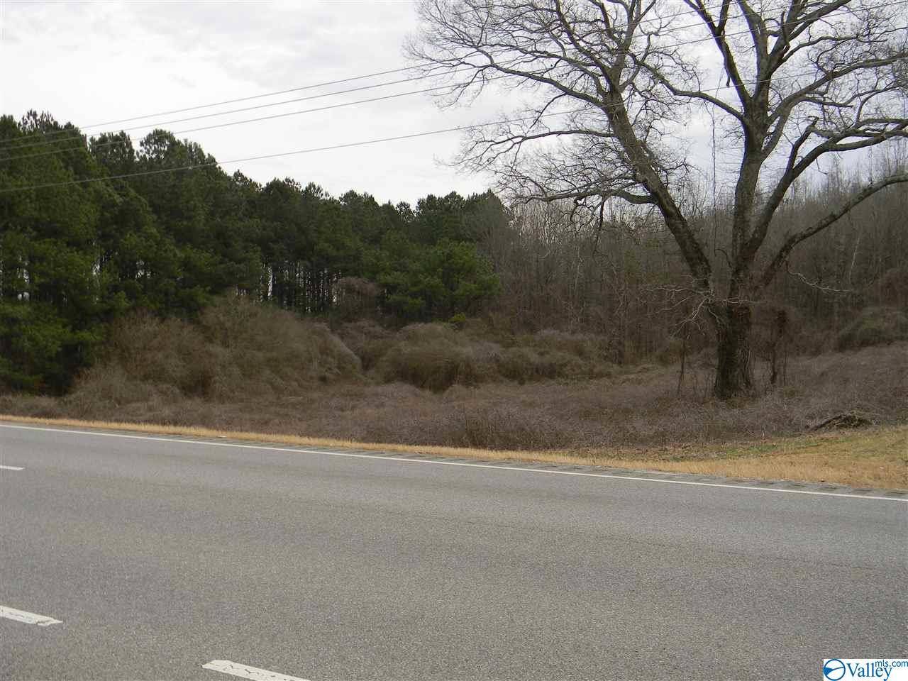 Leesburg, AL 35983,Lot # 2 US Highway 411