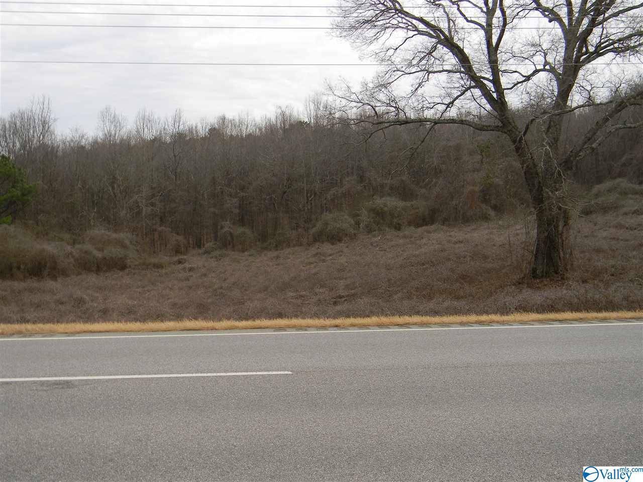 Leesburg, AL 35983,Lot # 2 US Highway 411