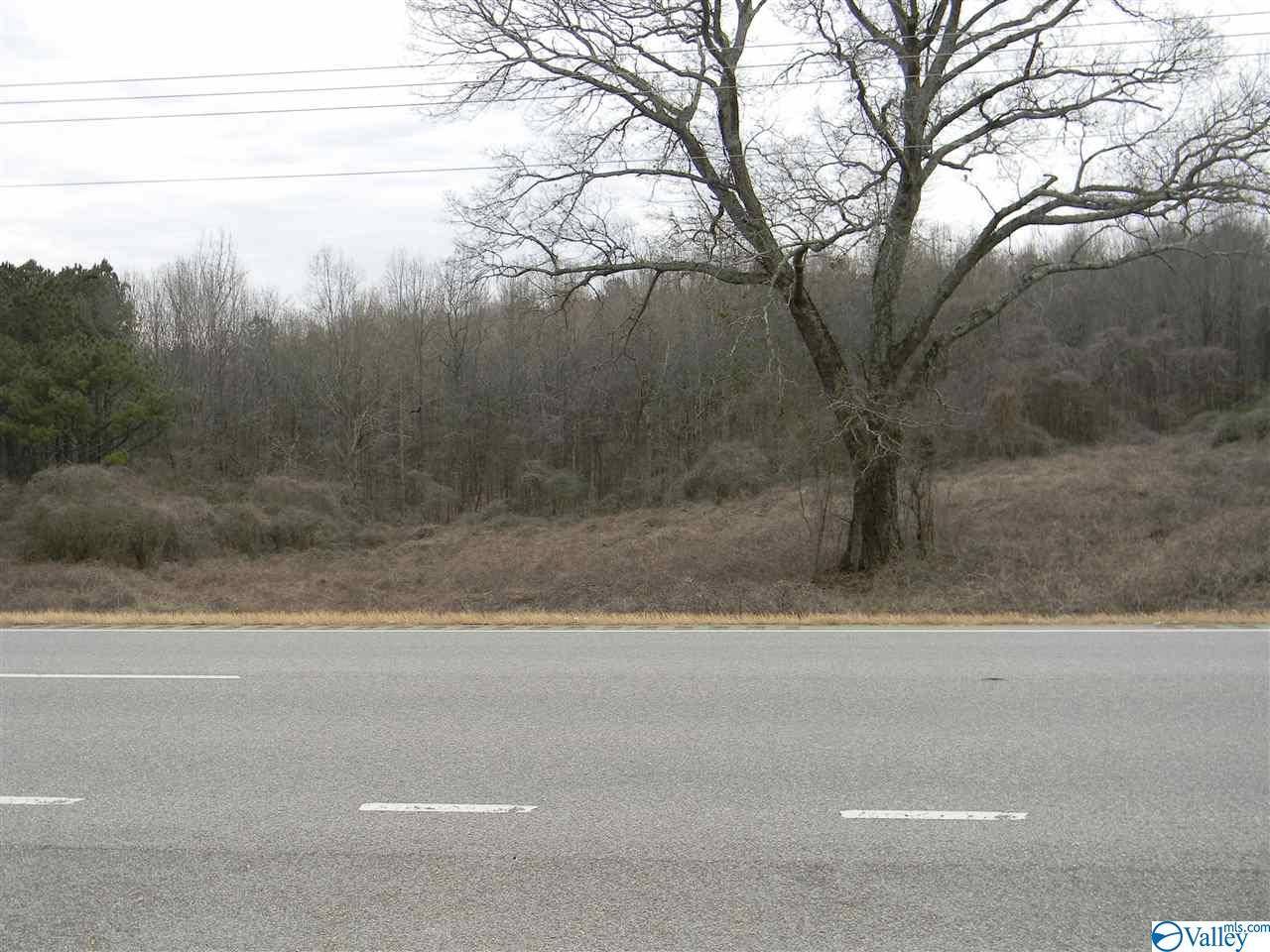 Leesburg, AL 35983,Lot # 3 Highway 411