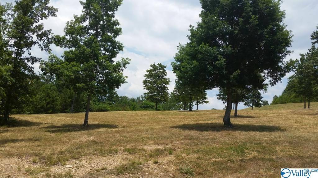 Cedar Bluff, AL 35959,Lot 47 County Road 767