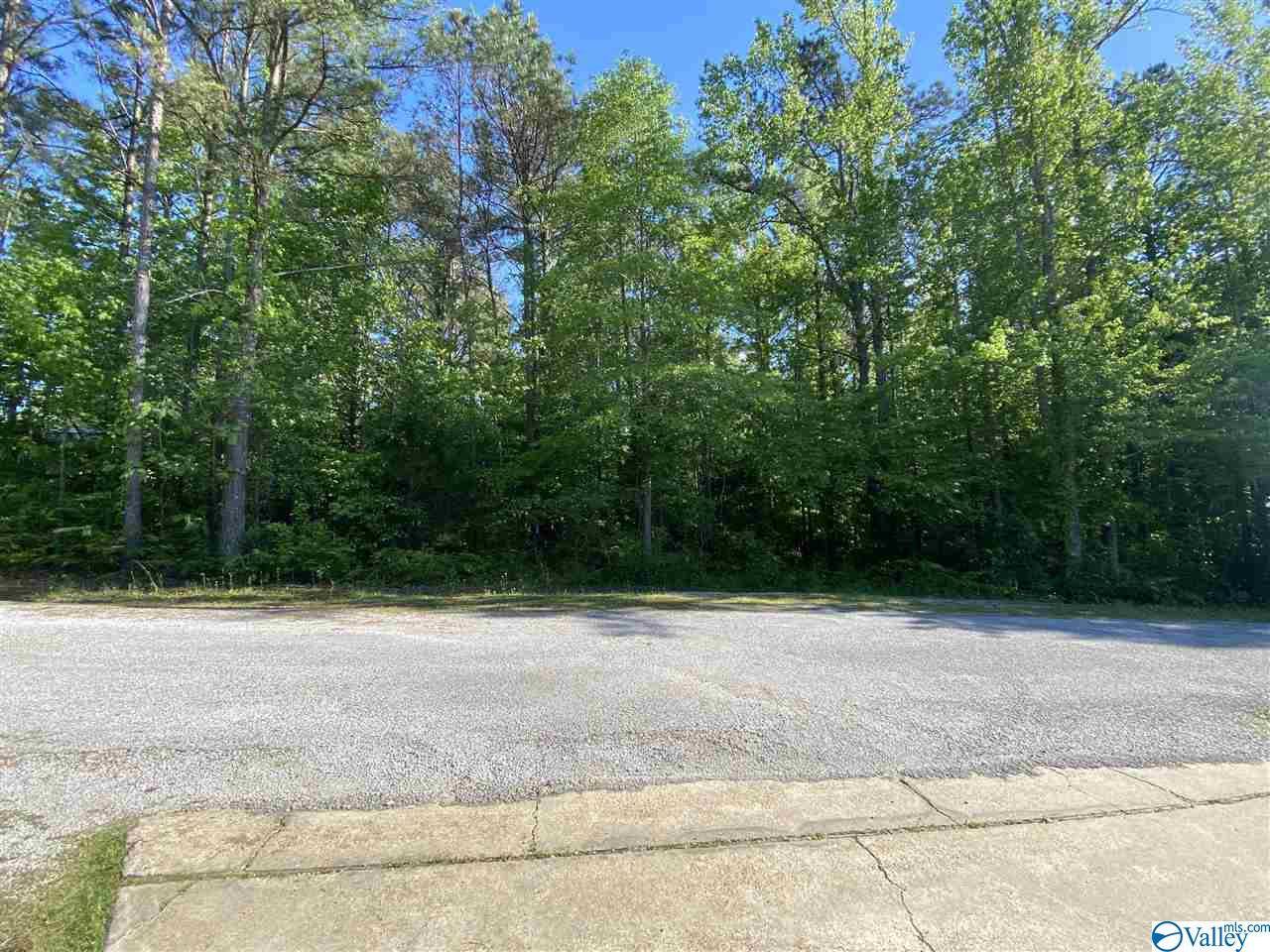 Hamilton, AL 35570,301 Daylily Drive