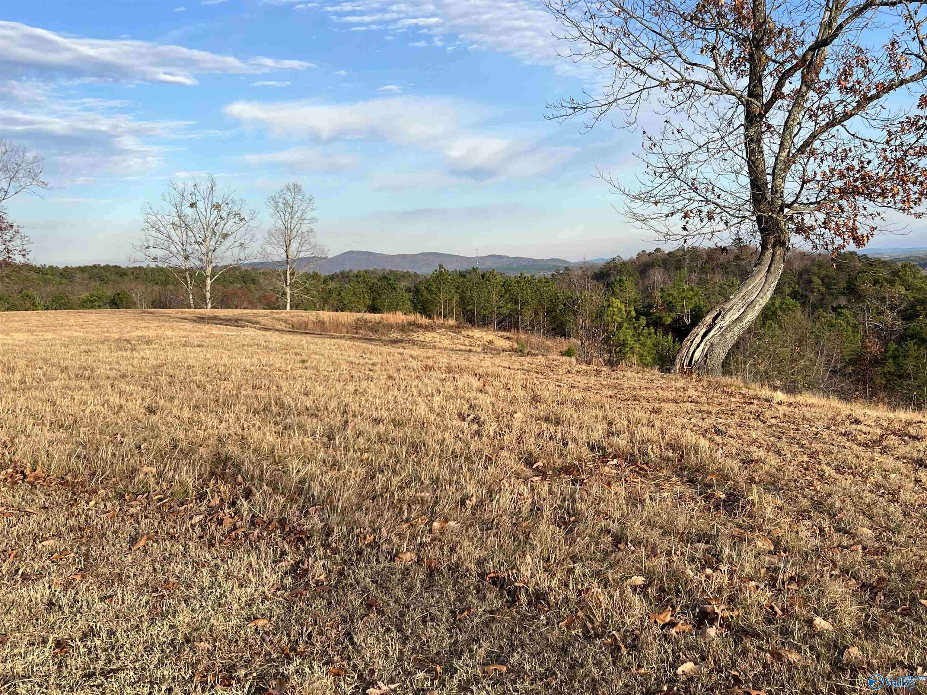 Cedar Bluff, AL 35959,LOT 56 County Road 767