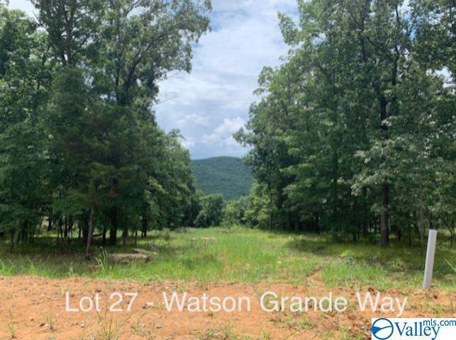 Owens Cross Roads, AL 35763,53 Watson Grande Way