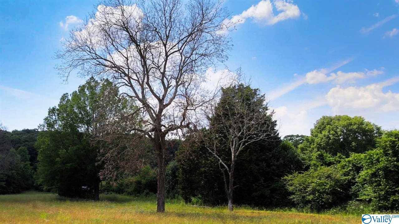 Decatur, AL 35603,3907 Spring Avenue SW
