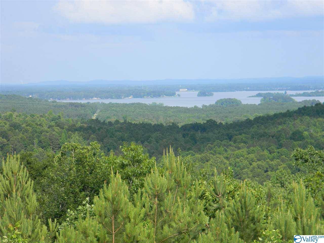 Cedar Bluff, AL 35959,Lot 7 & 8 County Road 682