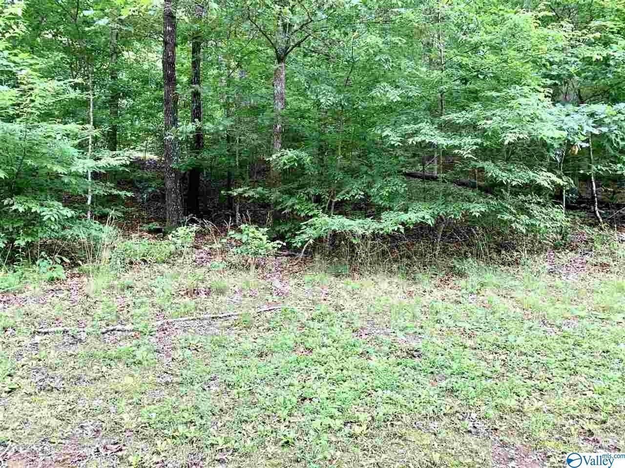 Fort Payne, AL 35967,0.34 acres Shady Lane