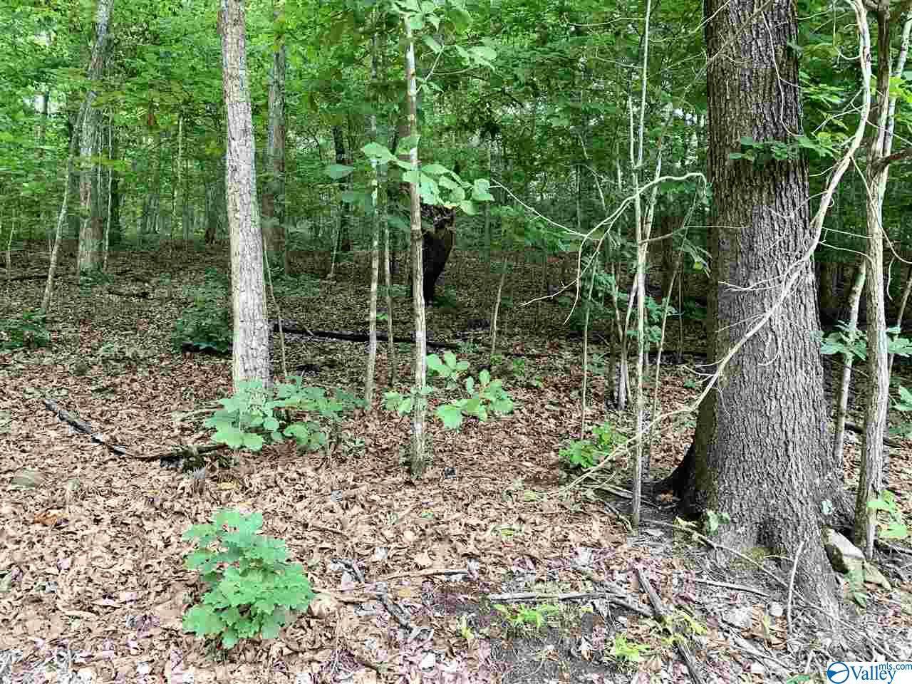 Fort Payne, AL 35967,0.34 acres Shady Lane