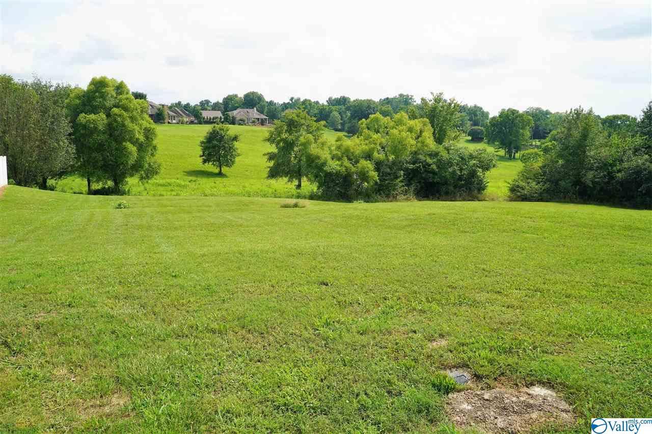 Fayetteville, TN 37334,Lot 15 Fairway Drive