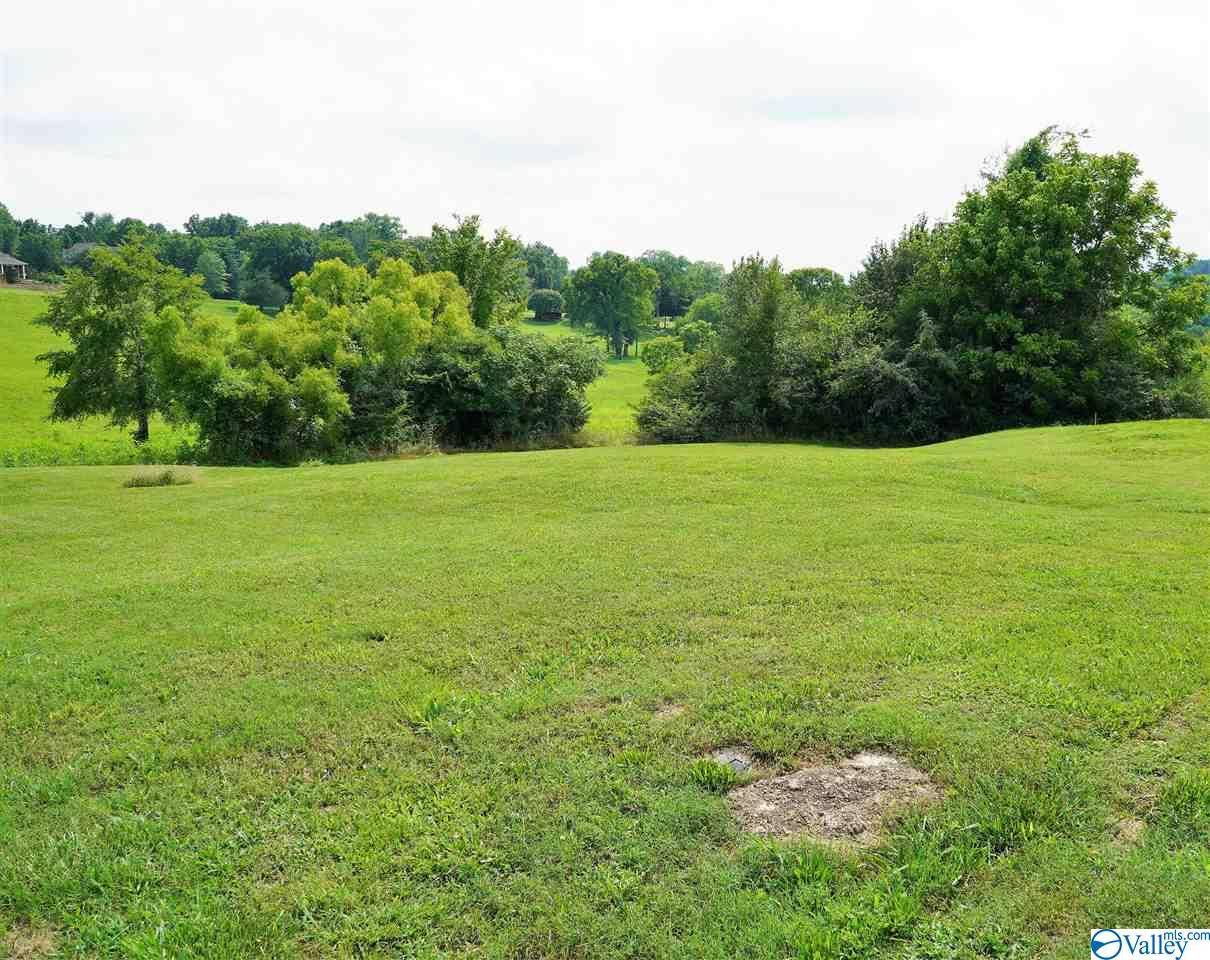 Fayetteville, TN 37334,Lot 15 Fairway Drive