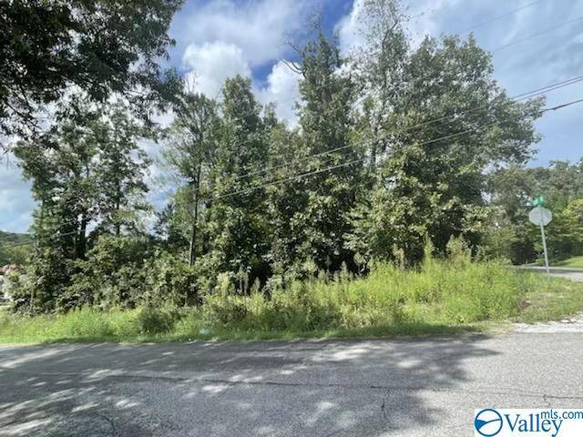 Southside, AL 35907,Lot 13-14 Anchor Drive