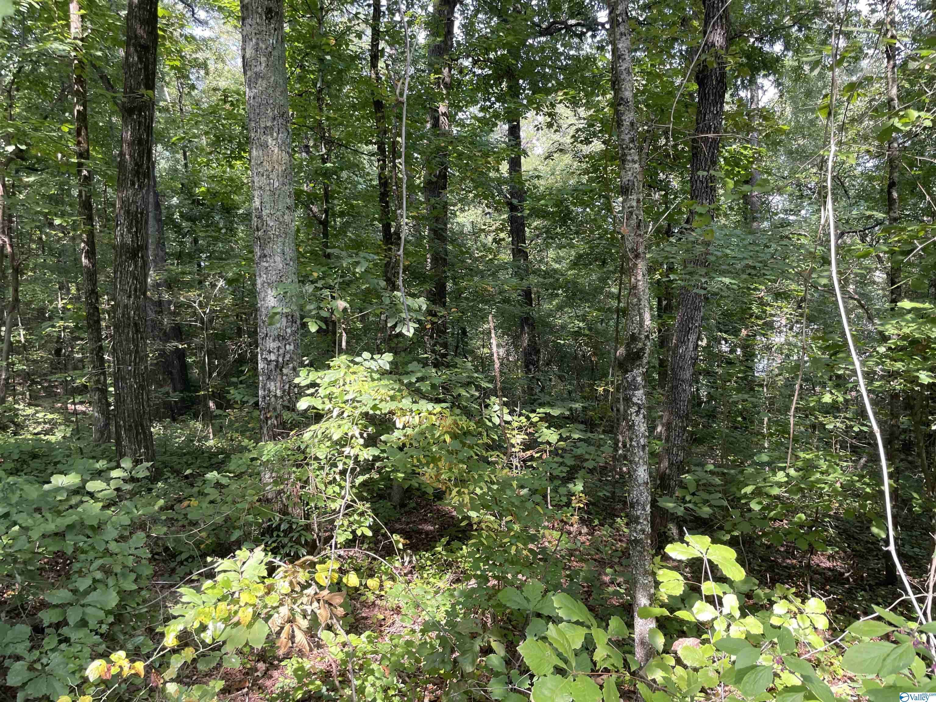 Southside, AL 35907,0.53 +/- Acres Mountain Top Road