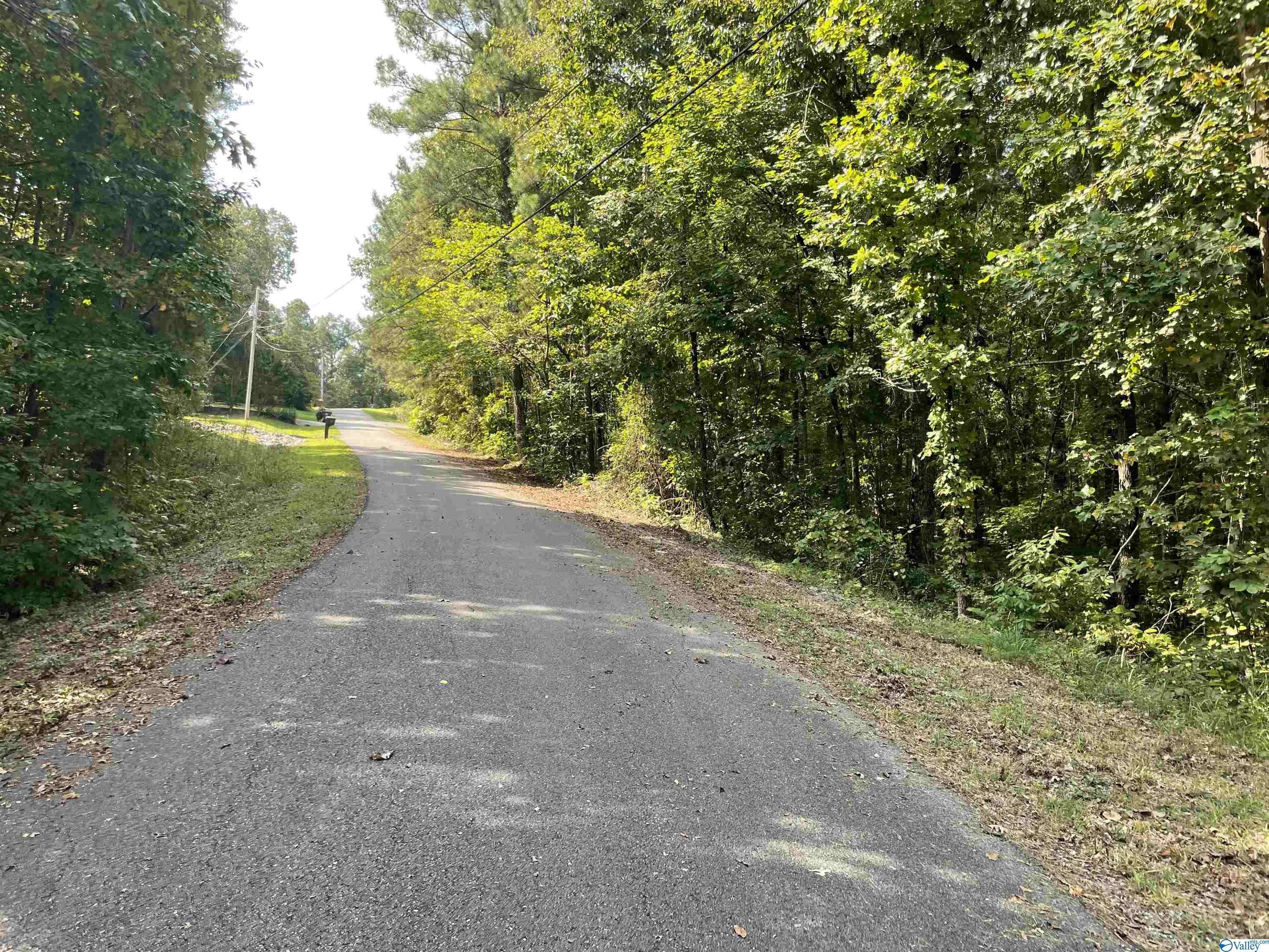 Southside, AL 35907,0.53 +/- Acres Mountain Top Road