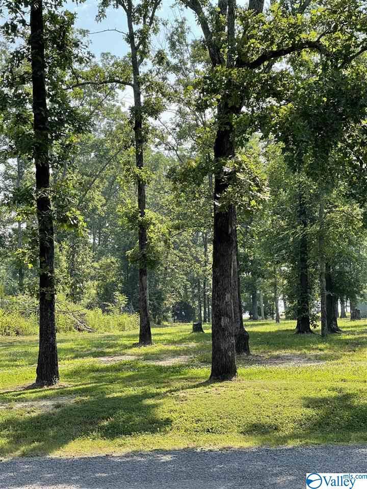 Cedar Bluff, AL 35959,51 Lot Woodmont Road