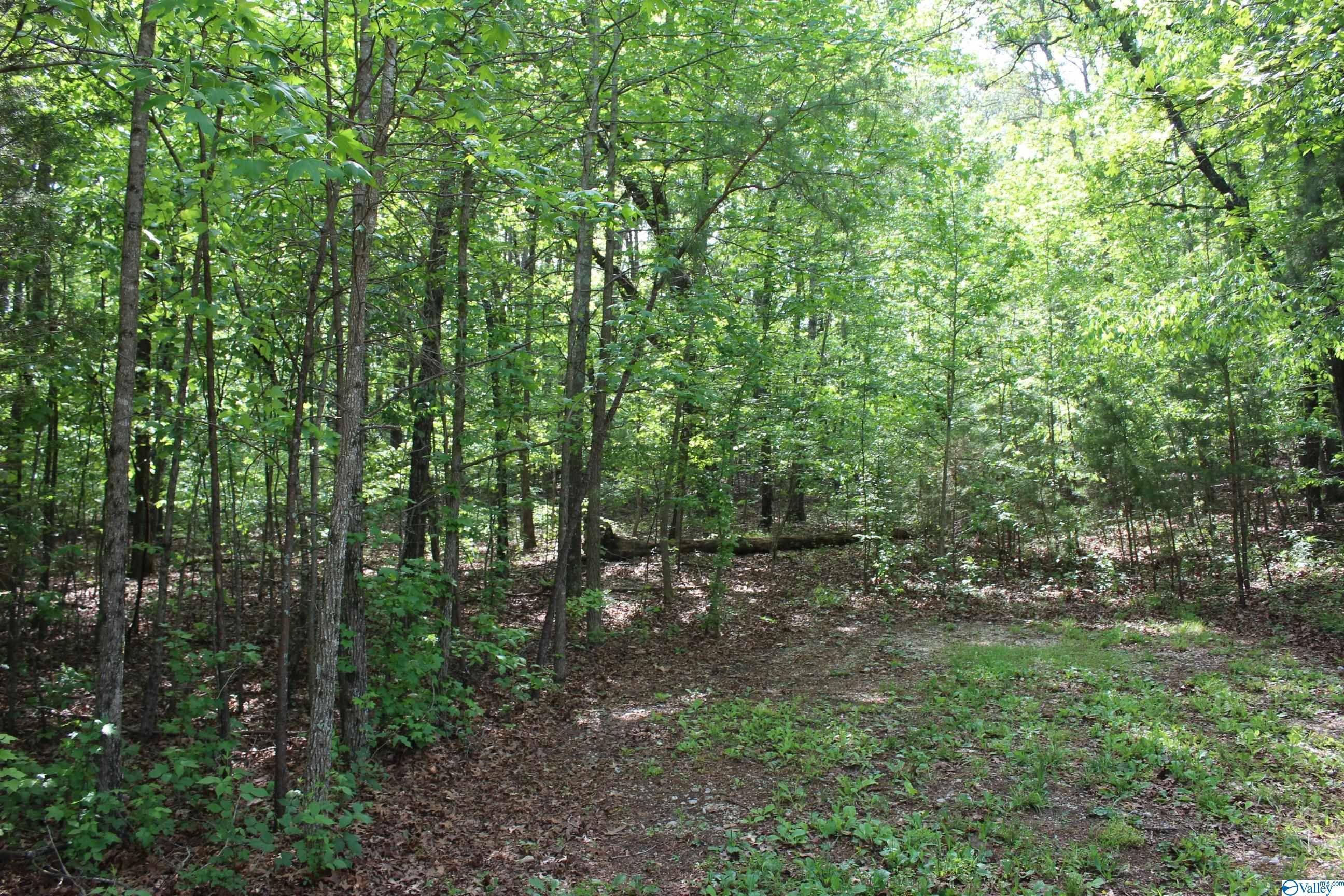 Valley Head, AL 35989,Lot 6 Hickory Lane