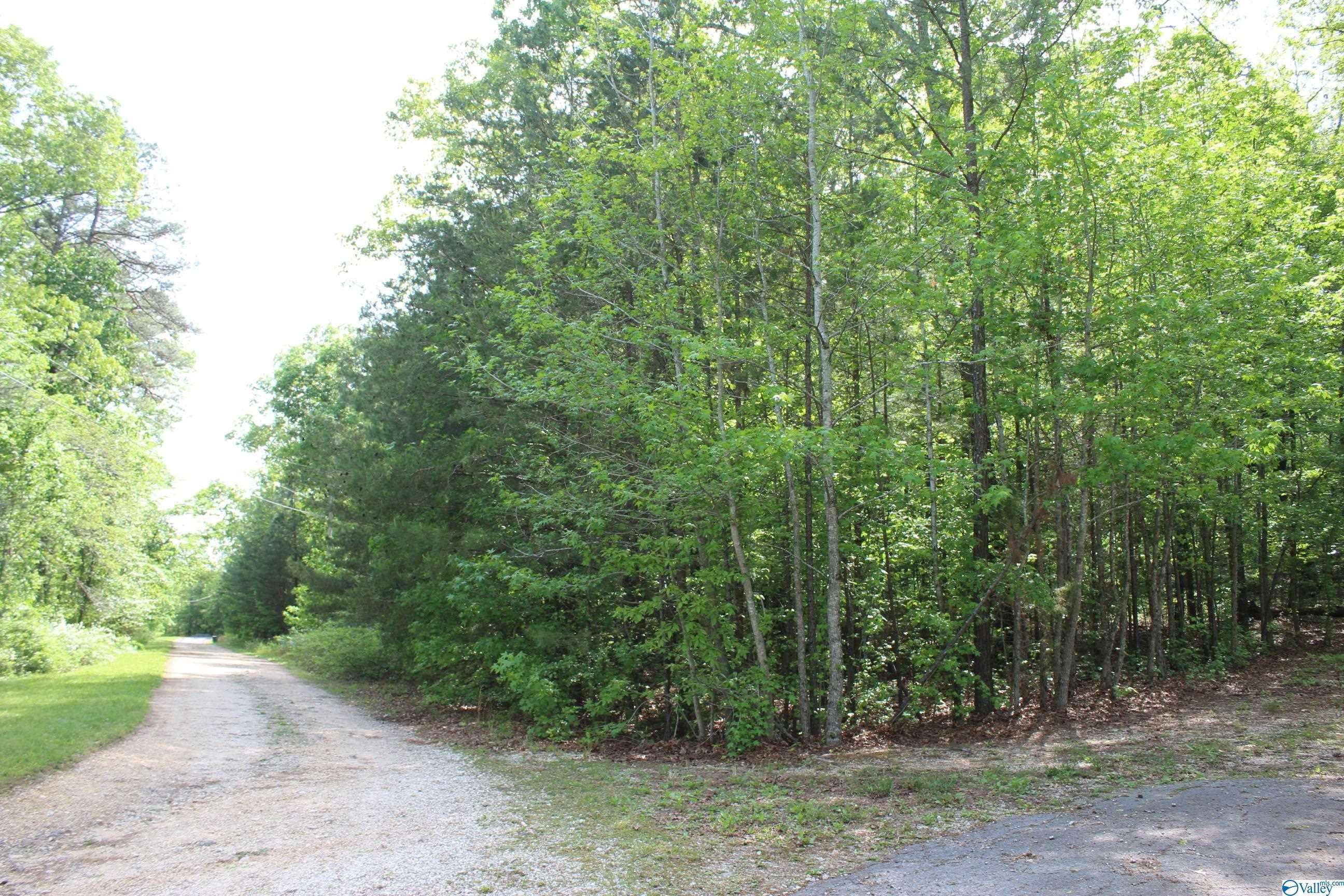 Valley Head, AL 35989,Lot 6 Hickory Lane