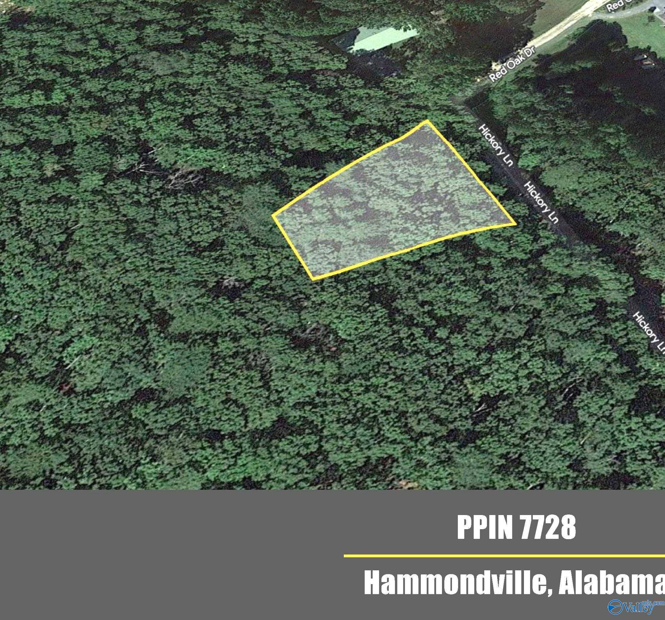 Valley Head, AL 35989,Lot 6 Hickory Lane