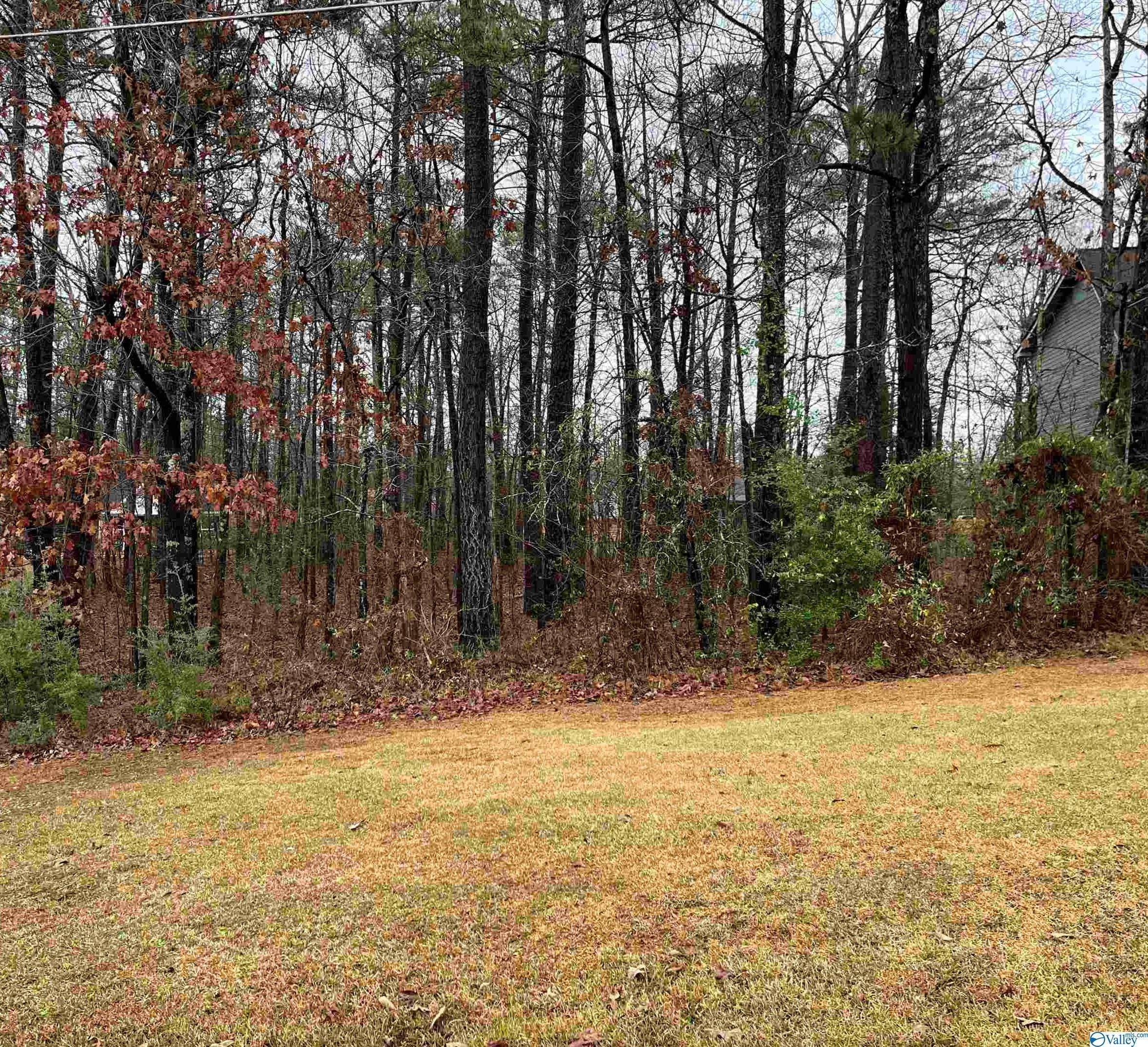 Centre, AL 35960,Lot 2 Blk 5 County Road 380