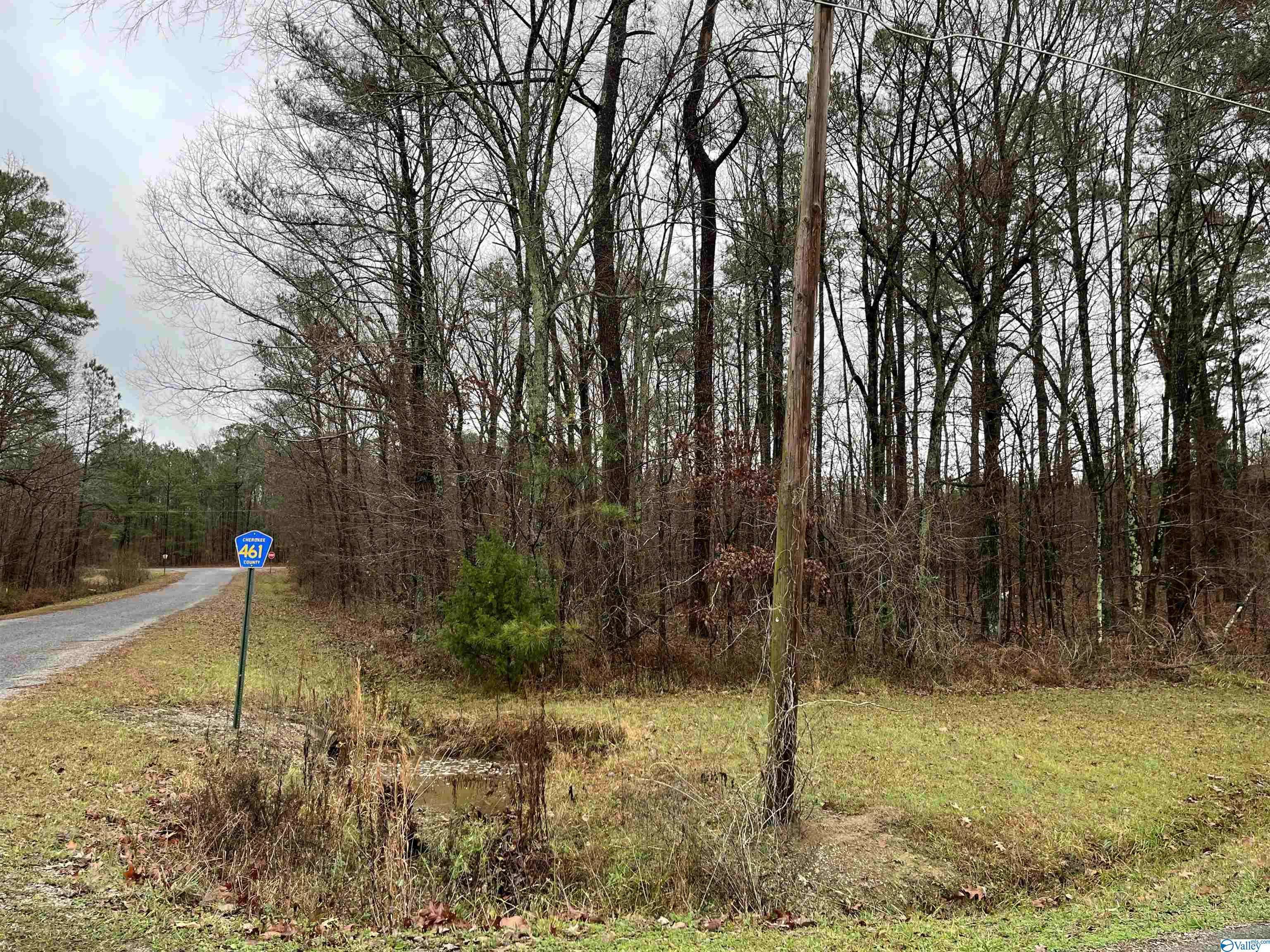 Centre, AL 35960,LOT 1 BLK 4 County Road 380