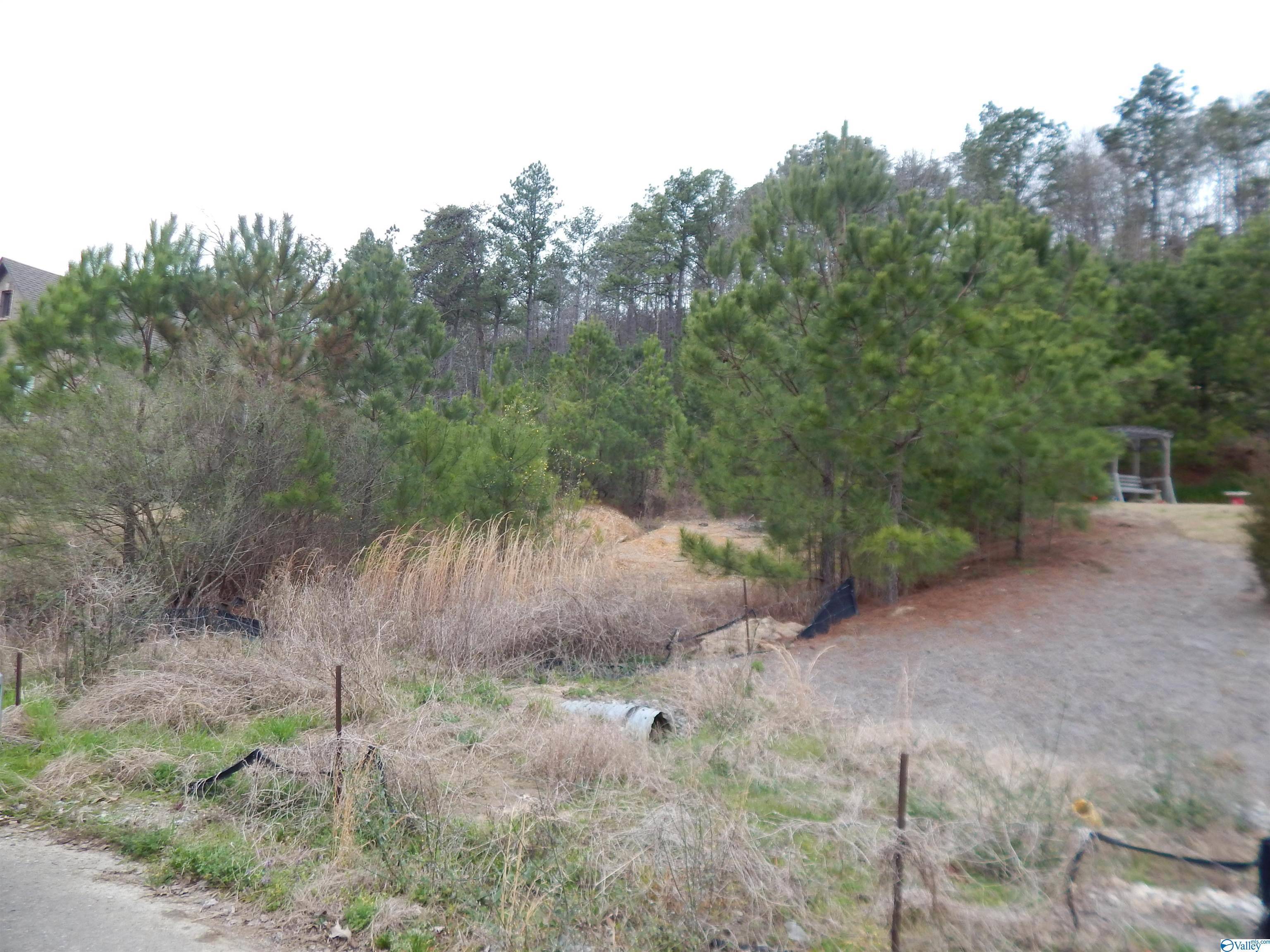 Mccalla, AL 35111,59.61 Acres Faith School Road